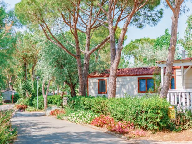 campingtoscanabella en camping-village-offer-for-holidays-in-tuscany 008